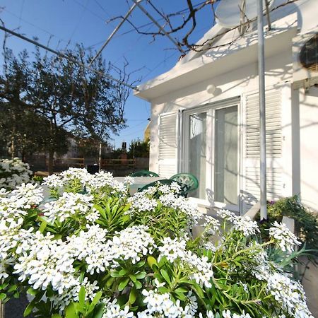 Apartman Antonio ซาดาร์ ภายนอก รูปภาพ